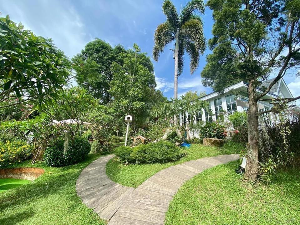 Baan Jaokorkluay บ้านเจ้ากอกล้วย Chiang Rai Dış mekan fotoğraf