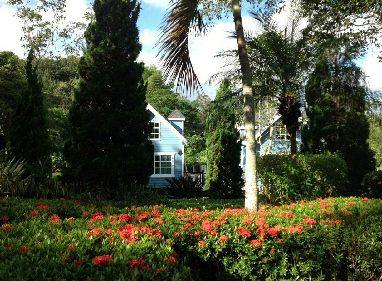 Baan Jaokorkluay บ้านเจ้ากอกล้วย Chiang Rai Dış mekan fotoğraf