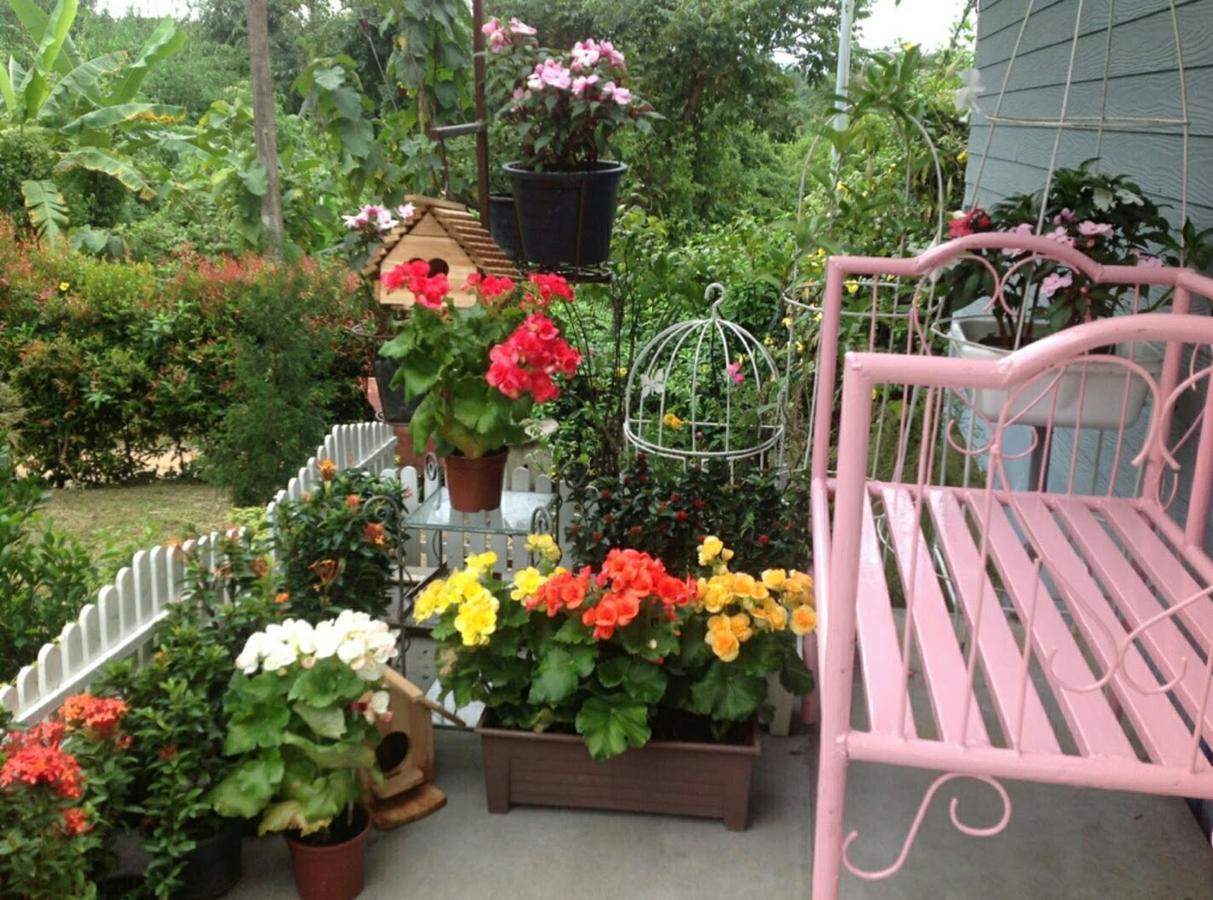 Baan Jaokorkluay บ้านเจ้ากอกล้วย Chiang Rai Dış mekan fotoğraf