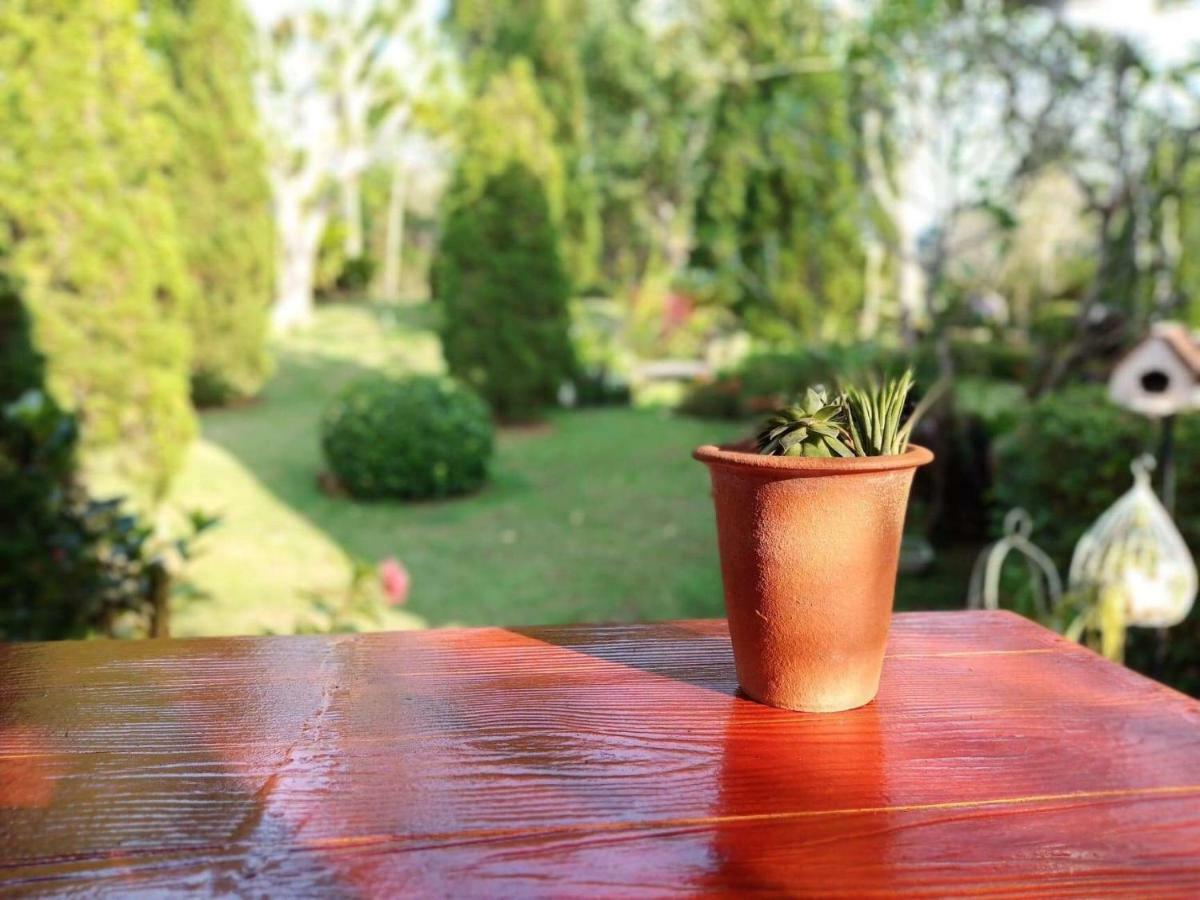 Baan Jaokorkluay บ้านเจ้ากอกล้วย Chiang Rai Dış mekan fotoğraf