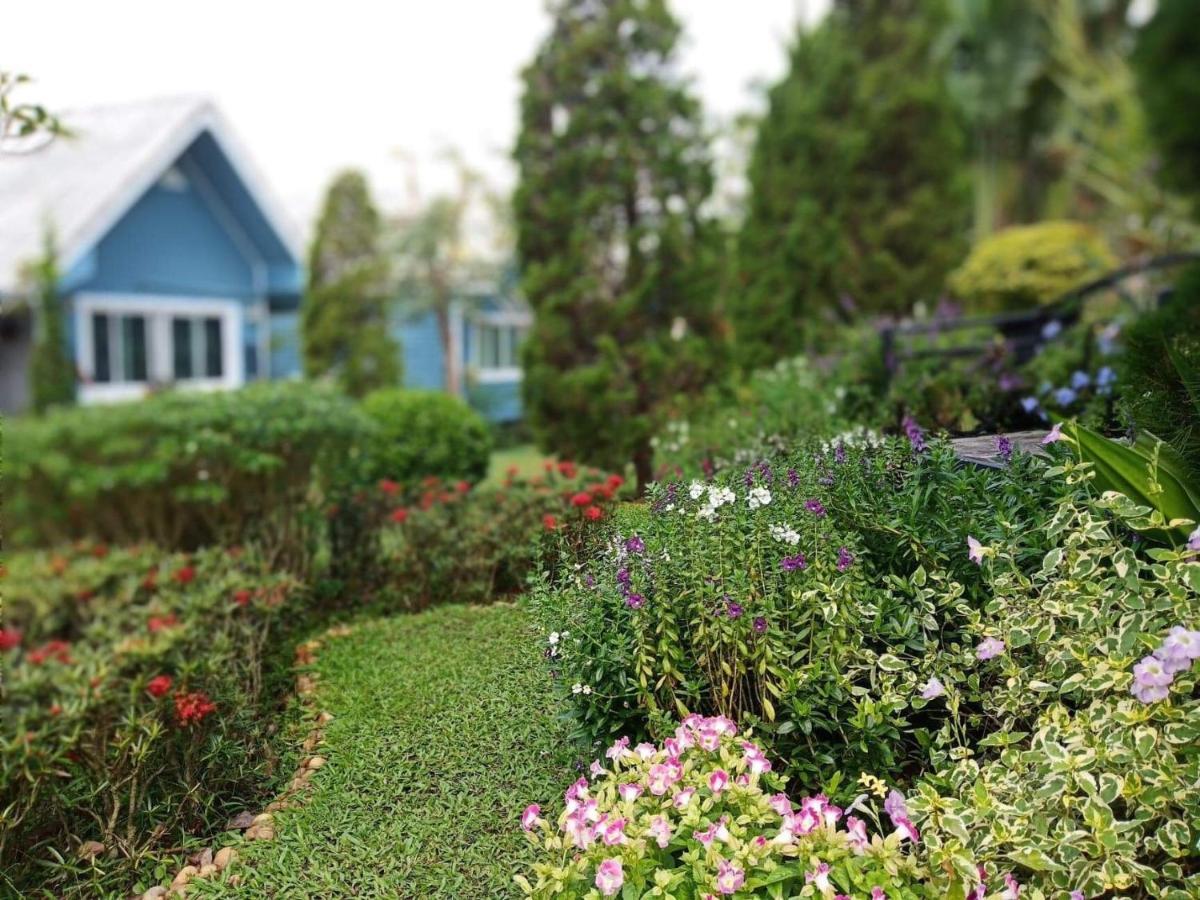 Baan Jaokorkluay บ้านเจ้ากอกล้วย Chiang Rai Dış mekan fotoğraf