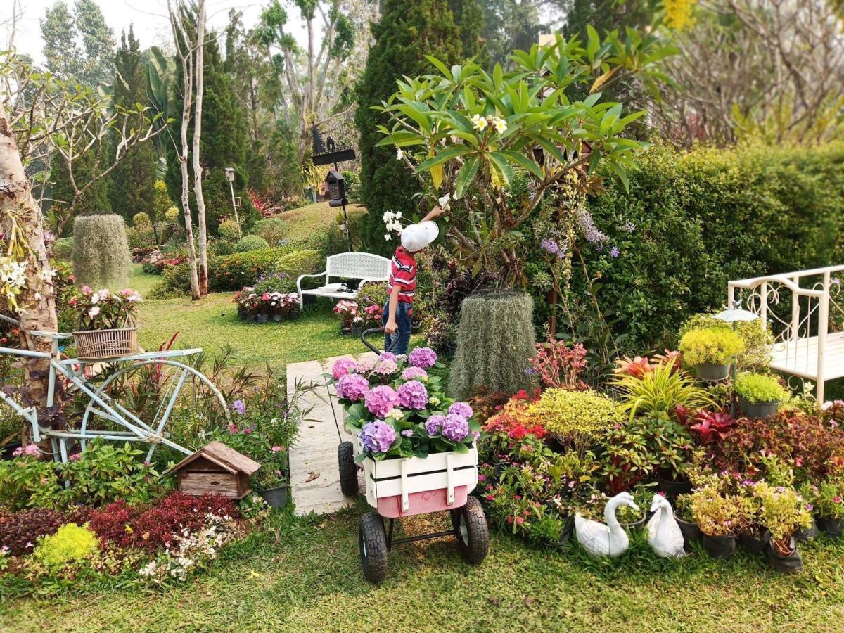 Baan Jaokorkluay บ้านเจ้ากอกล้วย Chiang Rai Dış mekan fotoğraf